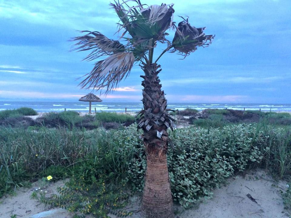 Unobstructed Oceanfront Sea Turtle Unit 2 Beach Pad! Сърфсайд Бийч Екстериор снимка