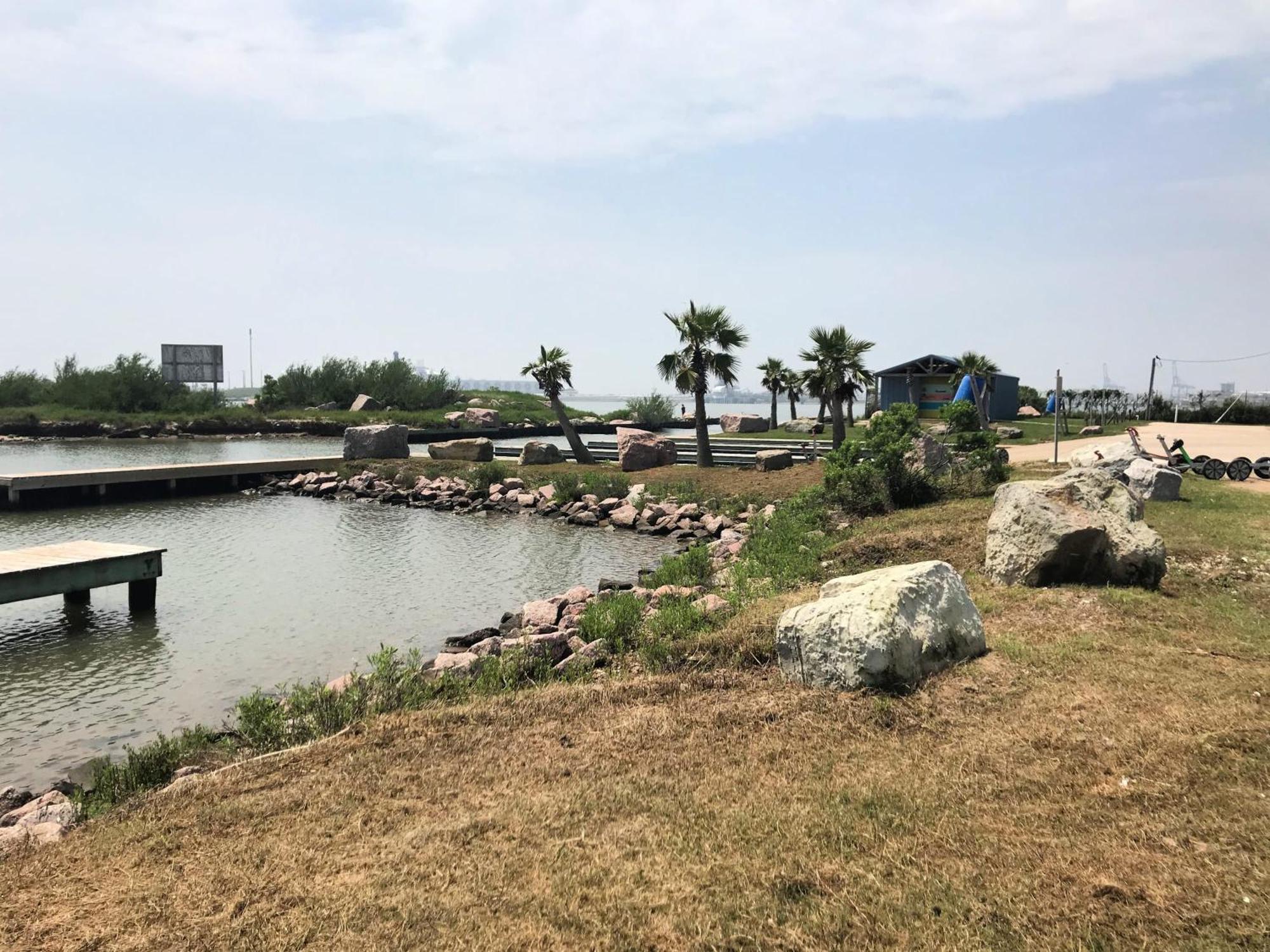 Unobstructed Oceanfront Sea Turtle Unit 2 Beach Pad! Сърфсайд Бийч Екстериор снимка